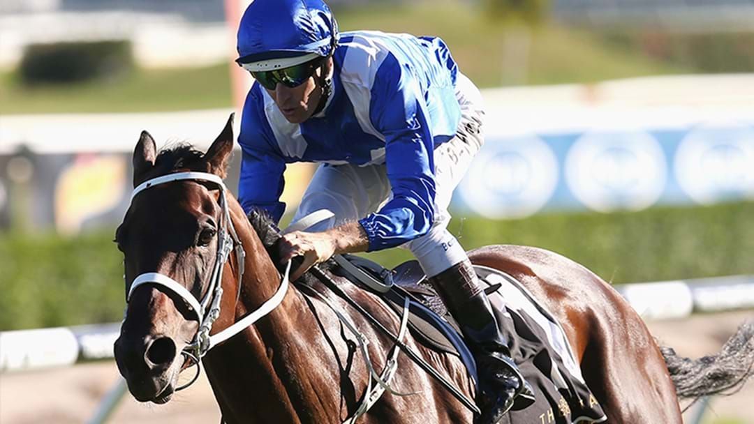 Article heading image for Winx Does It Yet Again At Chipping Norton Stakes