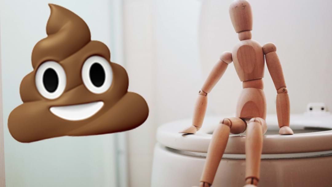 Article heading image for REVEALED: The Best Technique For The Perfect Poo