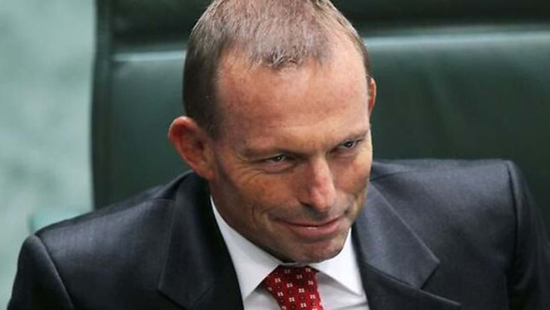 Article heading image for Tony Abbott Has Racked Up An Eye-Watering Travel Bill