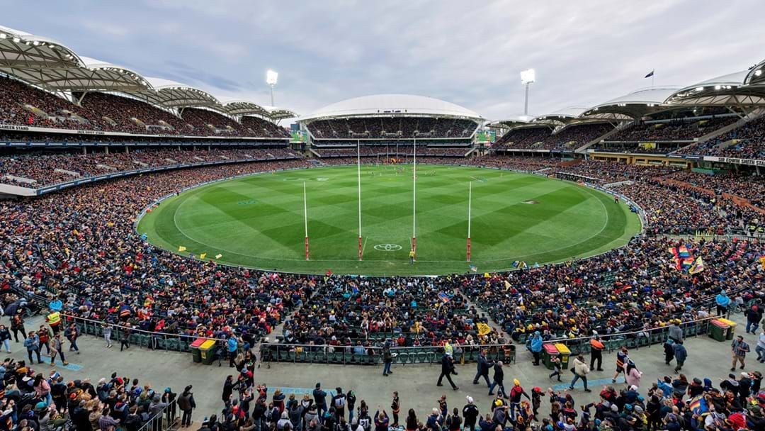 Article heading image for SPECIAL: Roo Has BIG Rumours About Events At The Adelaide Oval