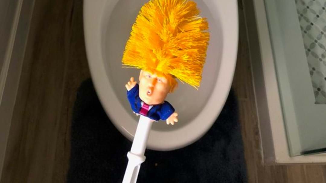 Article heading image for Life Makes Sense Again With This Donald Trump Toilet Brush
