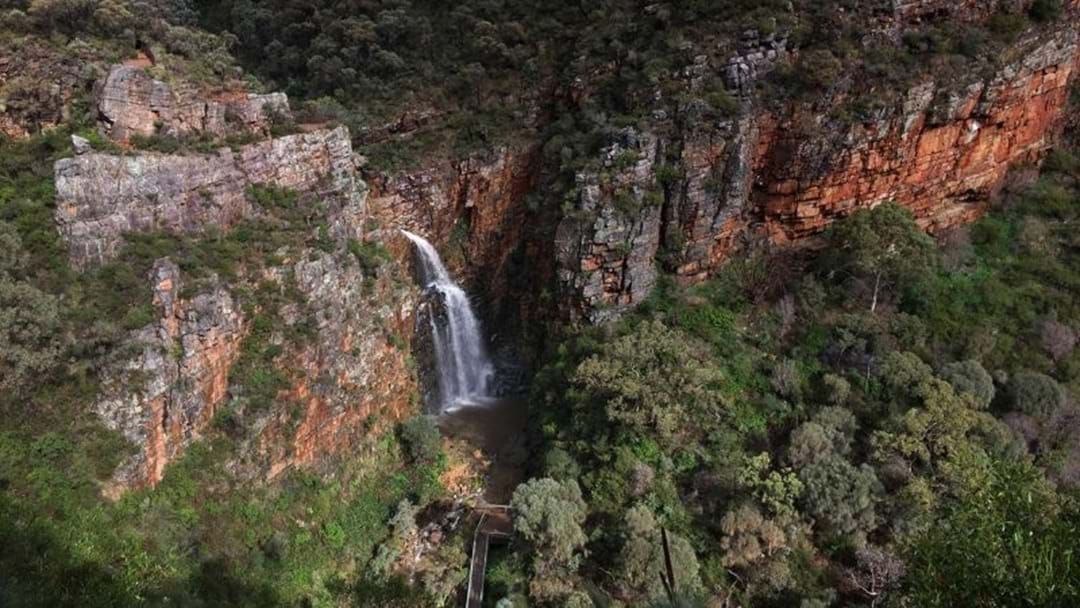 Article heading image for Safety Review Launched Following Death Of Hiker At The Morialta Conservation Park 