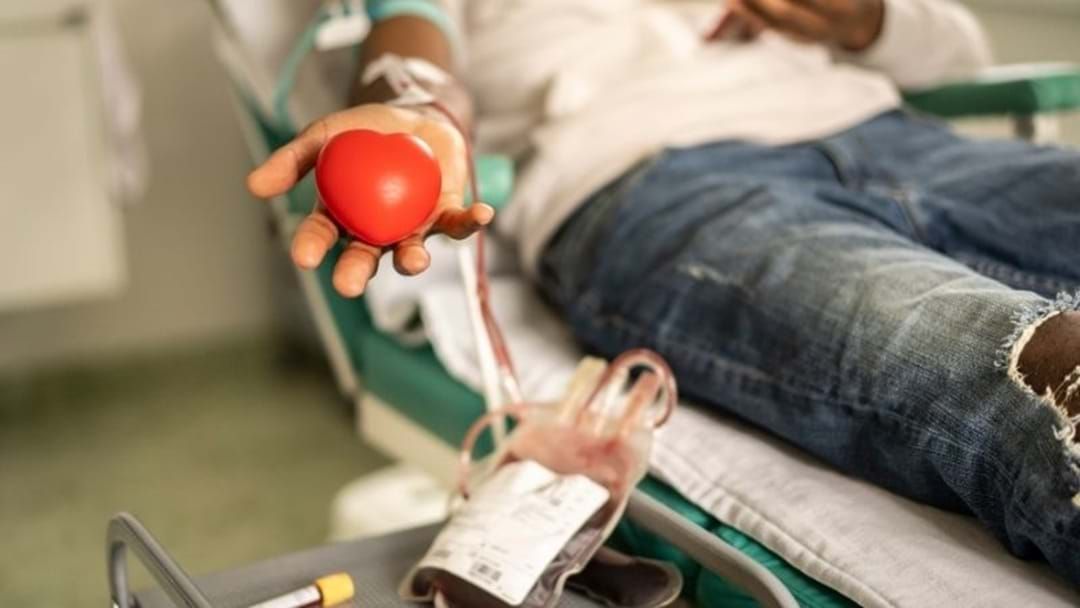 Article heading image for Australian Red Cross Call For Urgent Donors As "Universal" Blood Supply Depletes