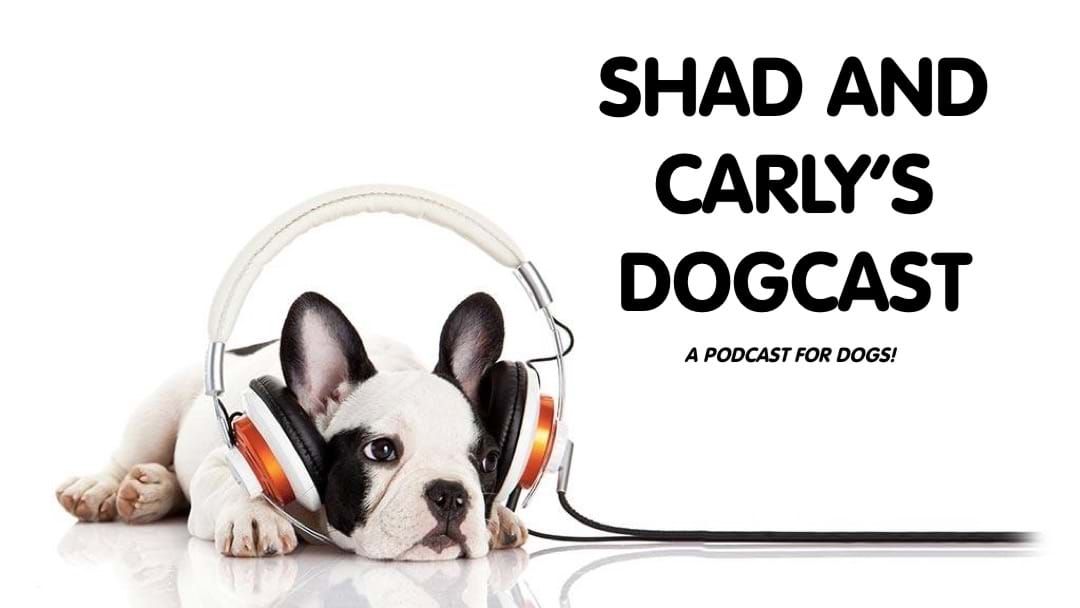 Article heading image for Shad and Carly to launch a DOGCAST!