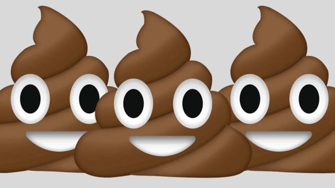 Article heading image for You Can Earn $50 By Donating Your Poop
