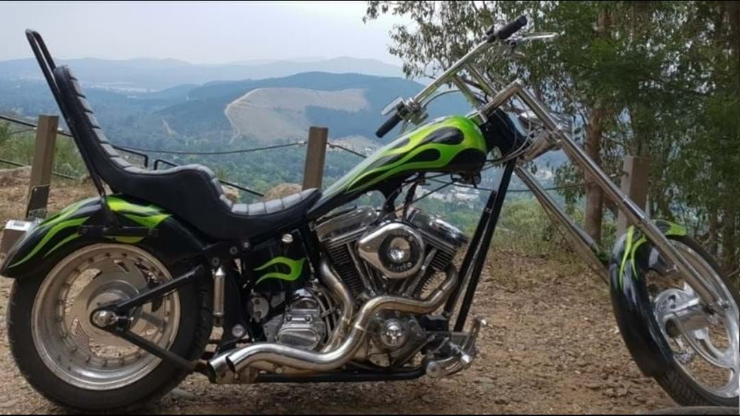 Article heading image for Stolen Harley Davidson