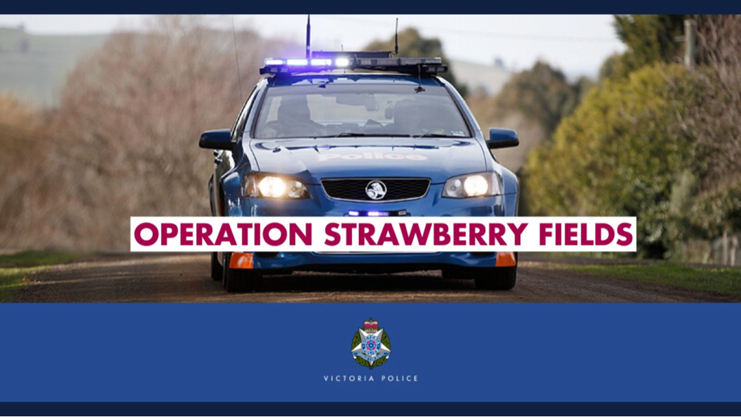 Article heading image for Operation Strawberry Fields Drink/Drug Driving Results