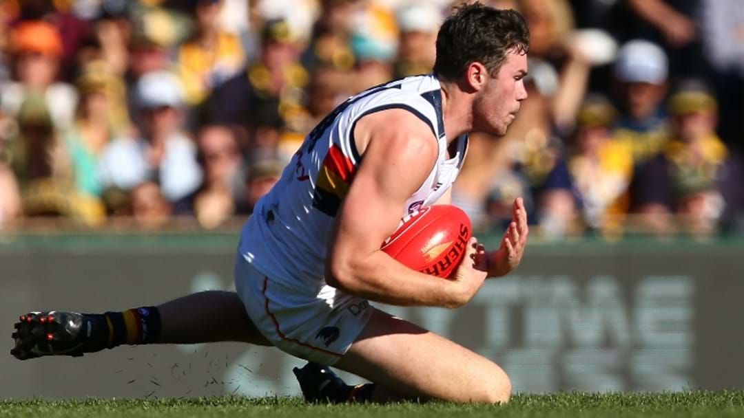 Article heading image for Mitch McGovern In Doubt For Preliminary Final 
