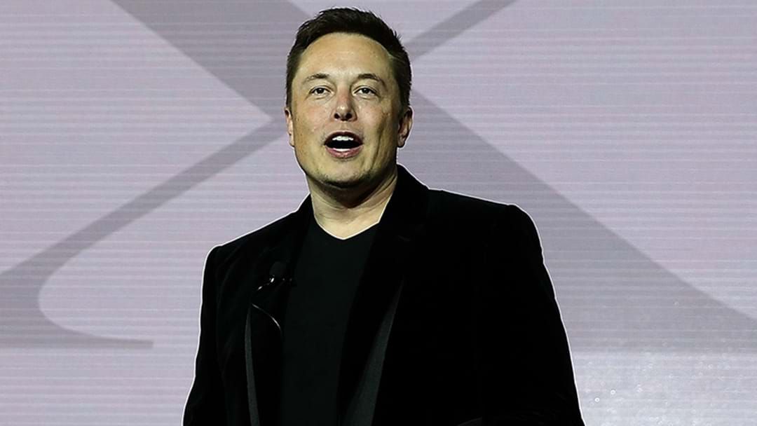 Article heading image for Billionaire Elon Musk Attempts To Purchase Ownership Of Twitter