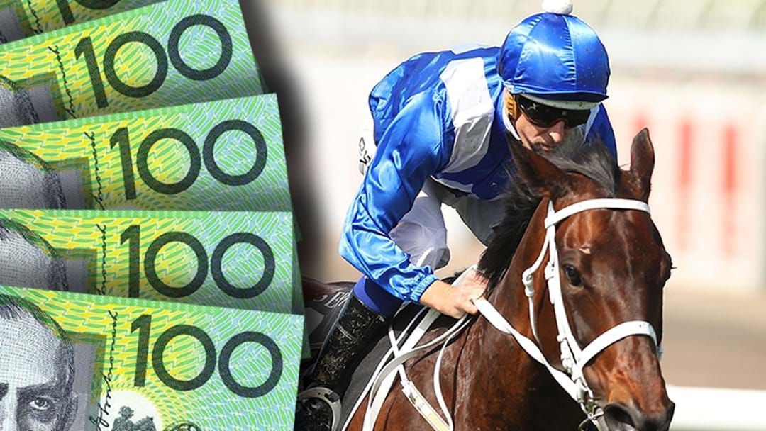 Article heading image for One Punter Plonks A Whopping Amount On Winx To Win The Cox Plate