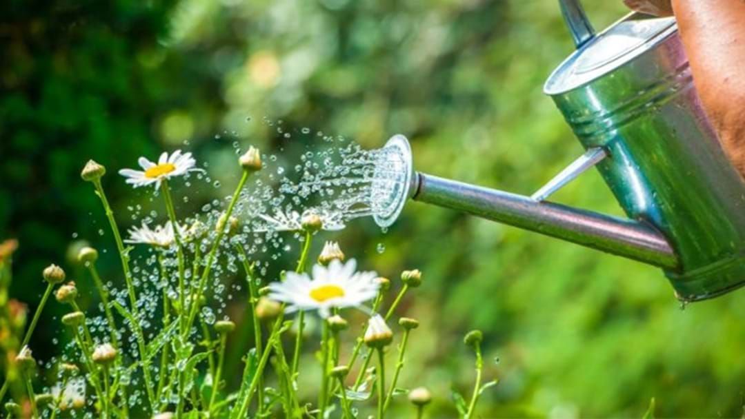 Article heading image for Level Two Water Restrictions To Be Enforced In December, Here’s What You Need To Know 