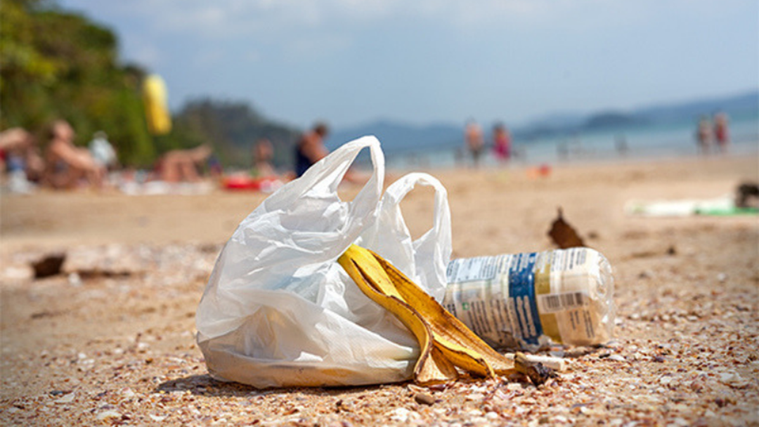 Article heading image for How You Can Get Involved This Clean Up Australia Day