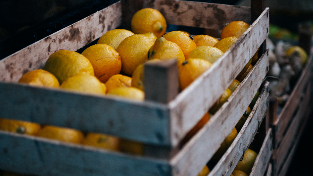 Article heading image for Bundy Lemon Farm To Supply Coles All Year Round