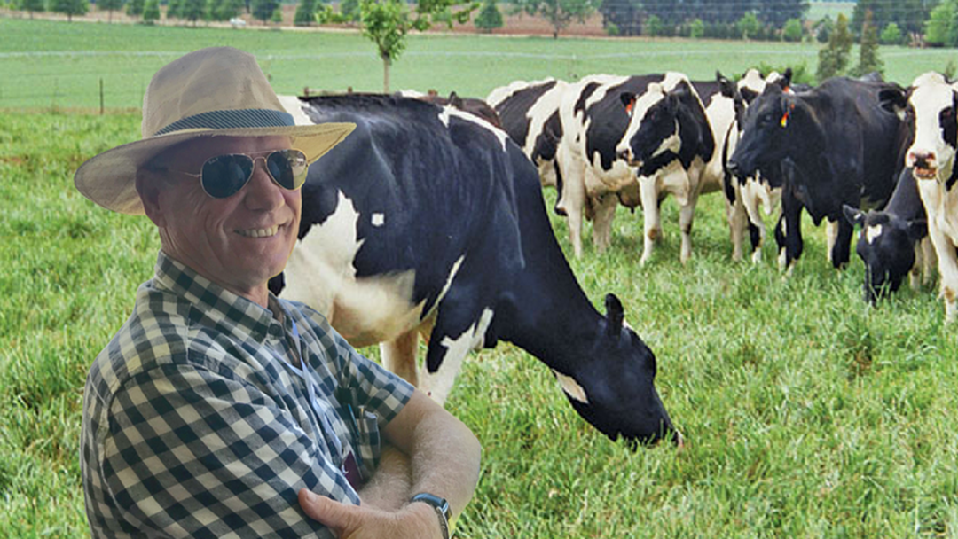 Article heading image for Andrew Fraser Calls on Supermarkets to Help Dairy Farmers