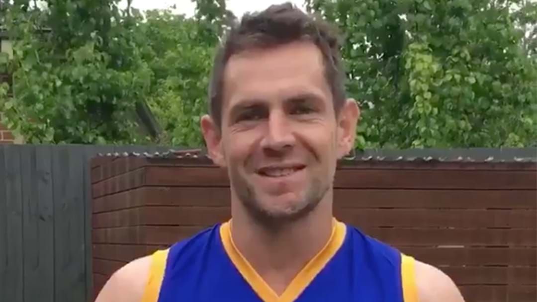 Article heading image for First Vision Of Luke Hodge In A Brisbane Jumper Emerges