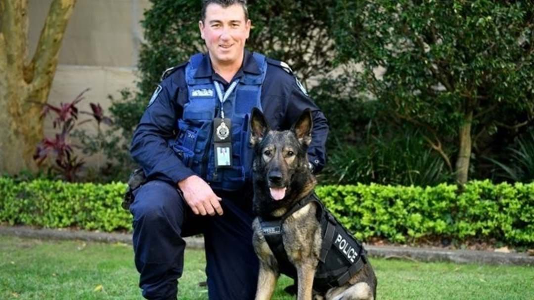 Article heading image for The Bond Between An Officer And His Dog