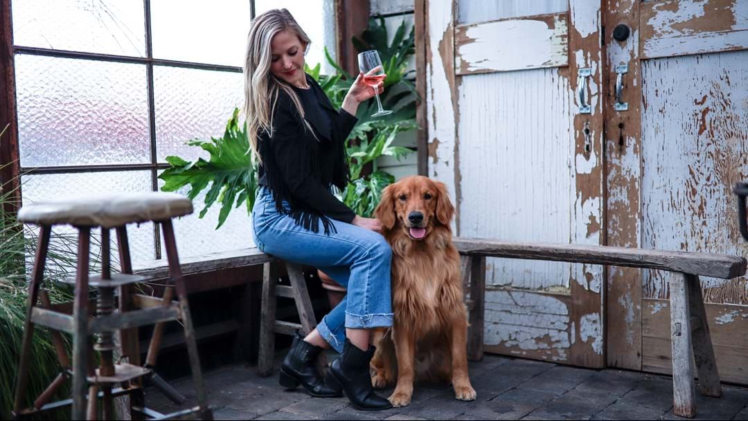 Article heading image for There Is Now A Website Dedicated To Finding Dog Friendly Wineries
