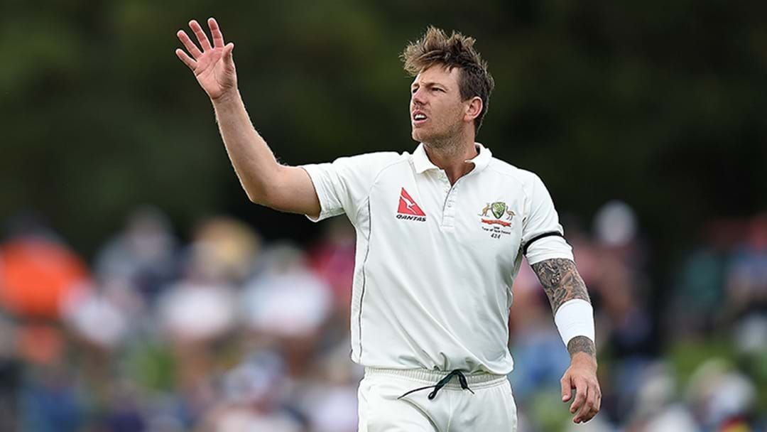 Article heading image for James Pattinson Is Set To Play His First Sheffield Shield Game In 20 Months