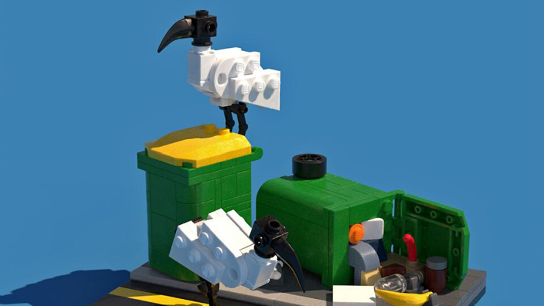 Article heading image for Some Bloke Has Created A LEGO Tutorial Of A Bin Chicken On A Wheelie Bin 