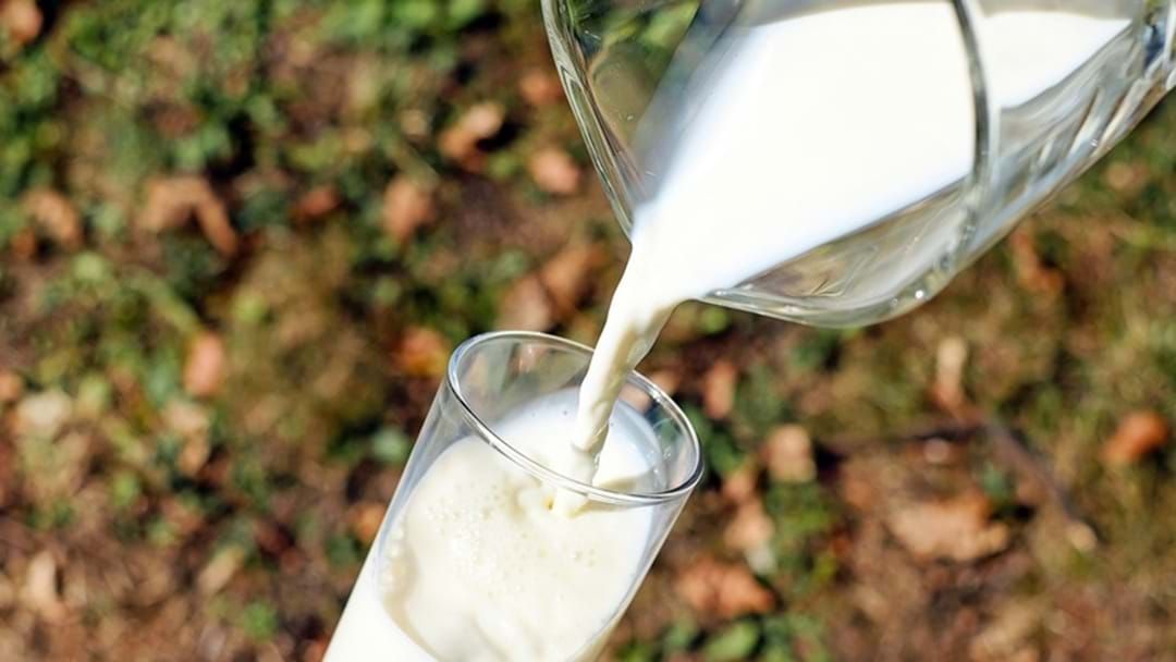 Article heading image for Some Milk Sold On The Border Being Recalled Due To Potential Contamination