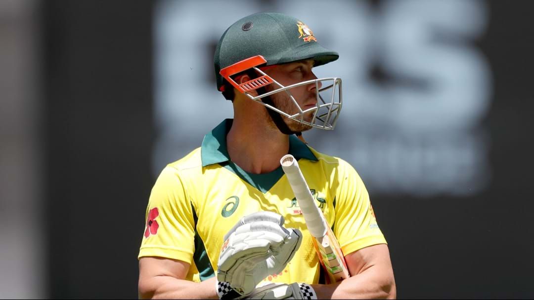 Article heading image for Ian Healy's Big Call On "Our Greatest Attacking Weapon" Chris Lynn
