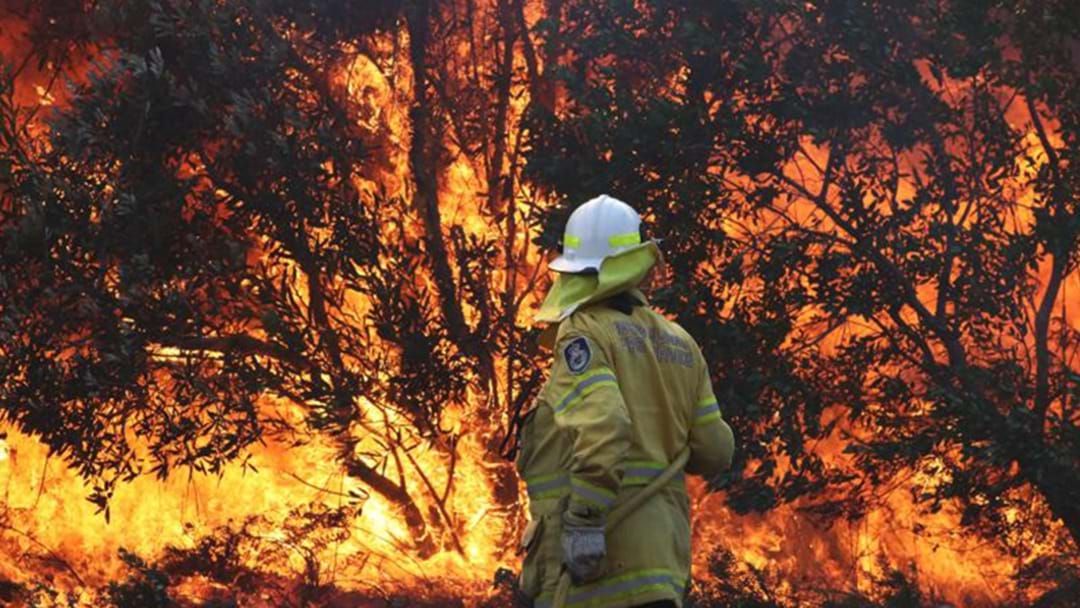 Article heading image for A List Of Bushfire Appeals Near You On The Gold Coast!