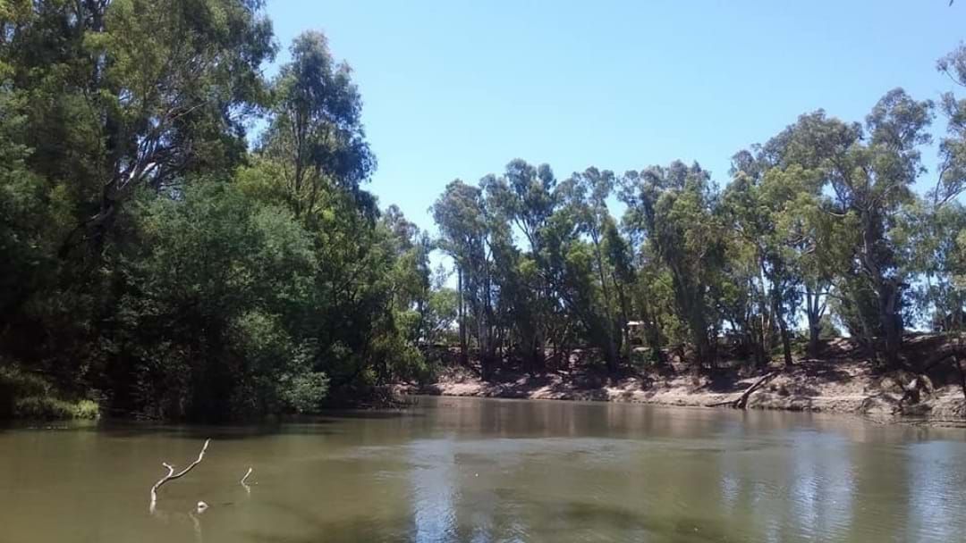 Article heading image for Date Set For Second Goulburn River Community Clean-Up