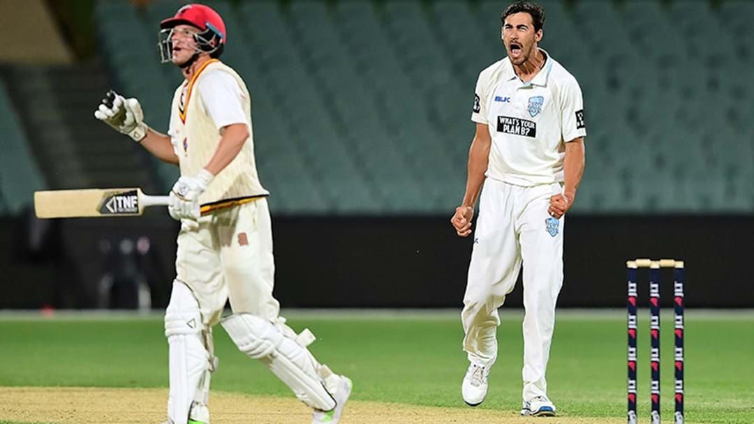 Article heading image for Mitch Starc Just Completely Wrecked South Australia With The Pink Ball