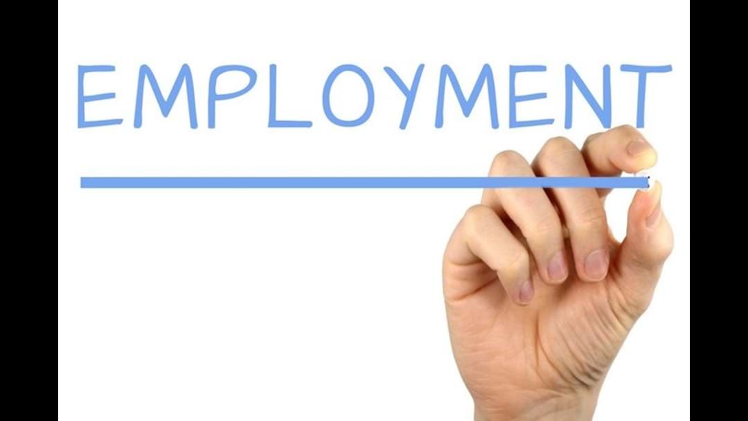 Article heading image for Employment Transition