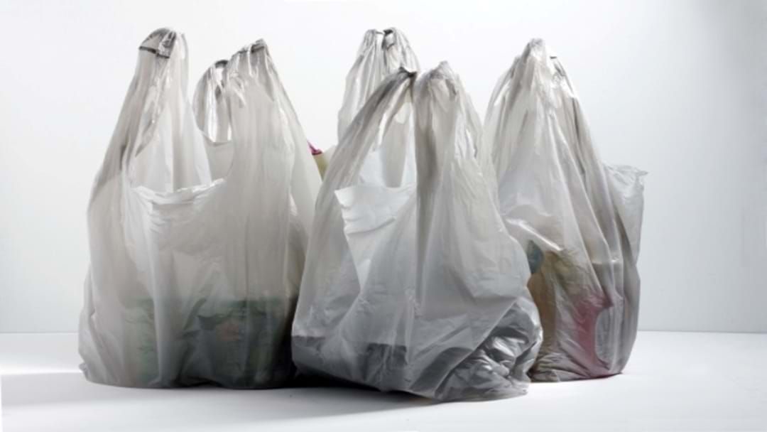 Article heading image for NSW Set To Ban Single-Use Plastic Bags From Next Week