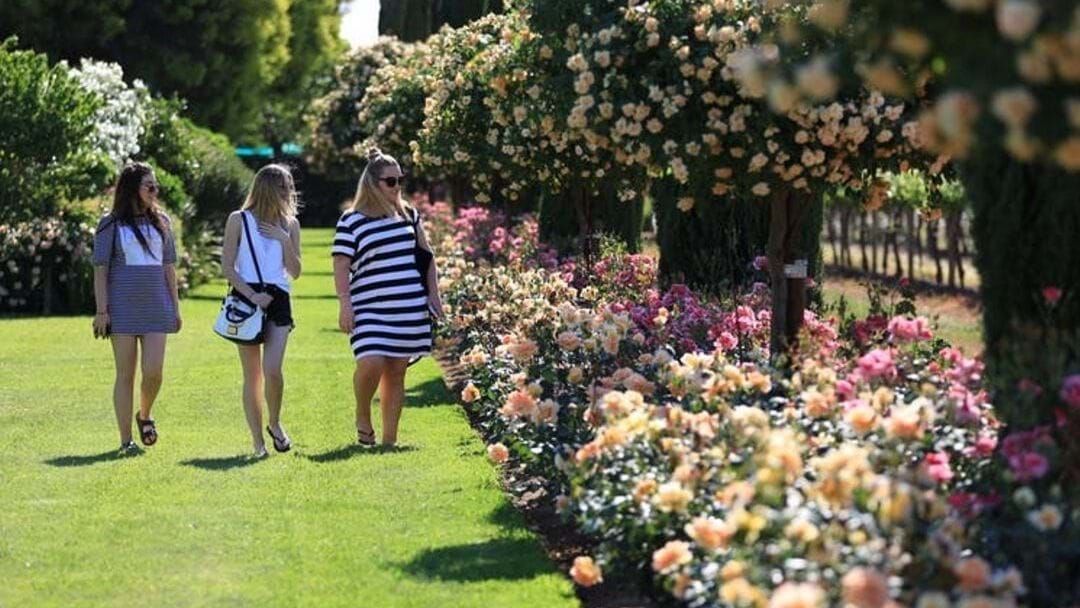 Article heading image for Griffith Spring Fest Is Back For Another Year Of Floral Bliss 