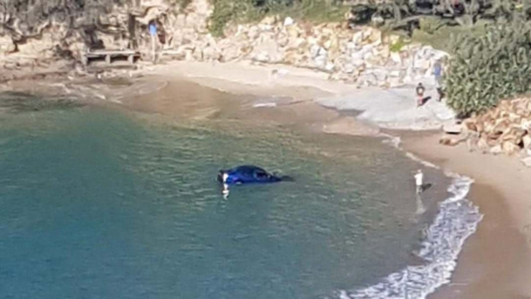 Article heading image for Car Submerged in Water at Nambucca Heads