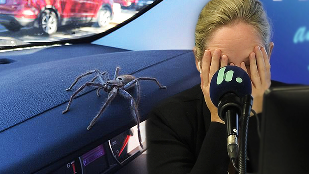 Article heading image for The Horrifying Moment Brendan Fevola Found A Spider In his Car And Nearly Crashed!