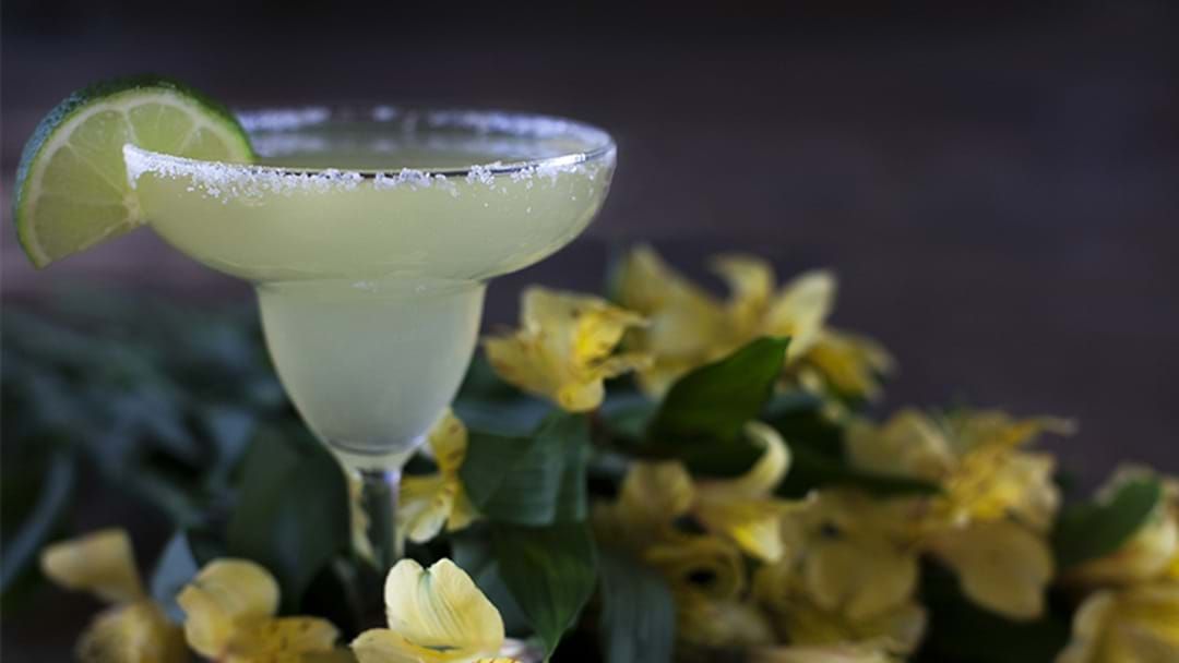 Article heading image for Where To Celebrate National Margarita Day In Sydney 