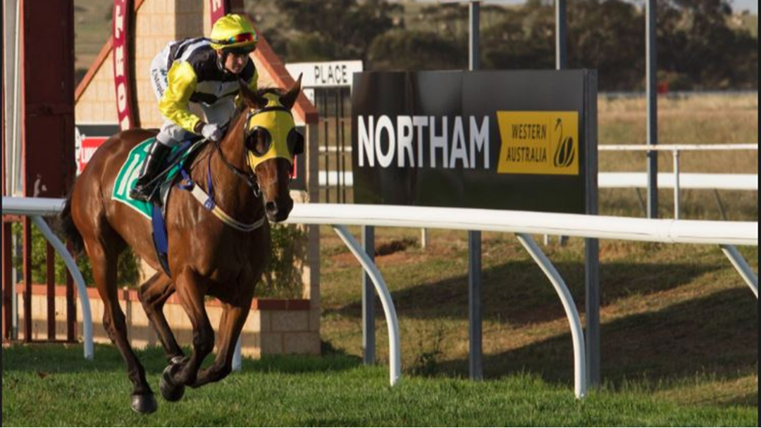 Article heading image for Northam Stakes Race Day
