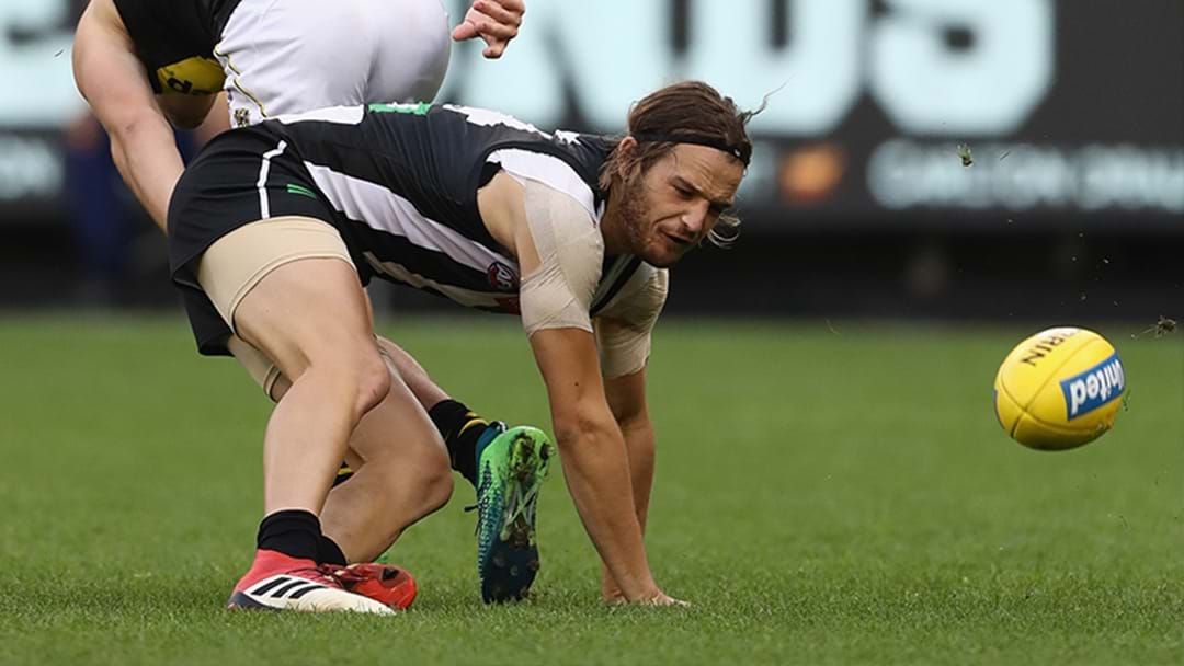 Article heading image for Injury Concerns Hit Collingwood In The Third Quarter