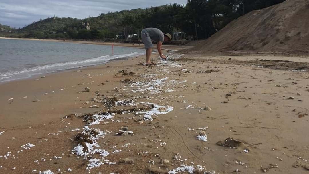 Article heading image for Maggie Island Locals Cleaning Up After Bean Bag Mystery  