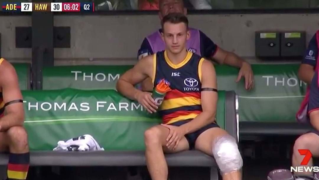 Article heading image for Adelaide Confirm That Tom Doedee Has Ruptured His ACL
