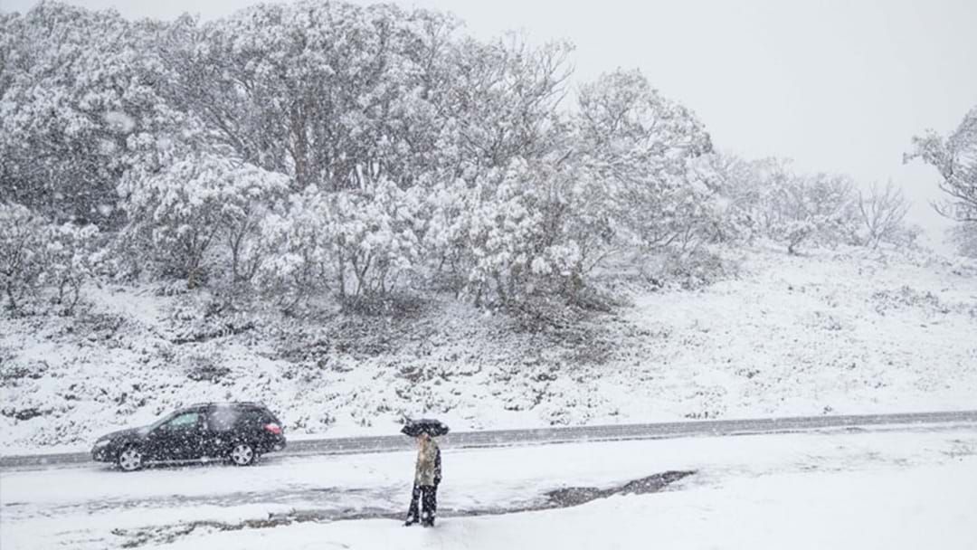 Article heading image for It's Currently Snowing In Perisher