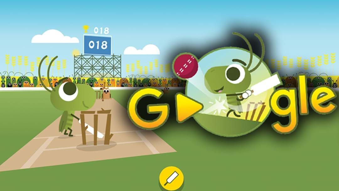 Google Has Launched An Addictive New Cricket Game Triple M