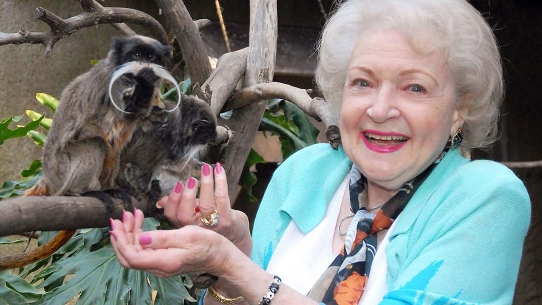 Article heading image for 'Hundreds Of Thousands' Raised For Animal Shelters In Betty White's Honour