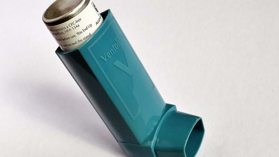 Article heading image for Heightened Risk for Wagga Asthma Sufferers 