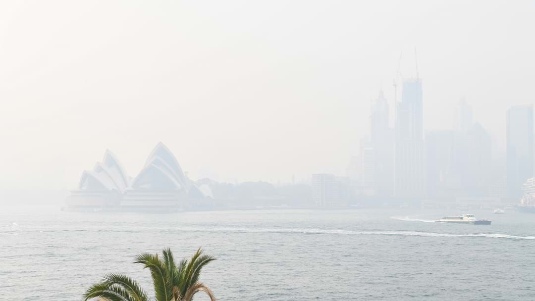 Article heading image for Sydney's Air Quality Index "Skyrockets" Above Hazardous, As Thick Smoke Triggers Fire Alarms Across The City