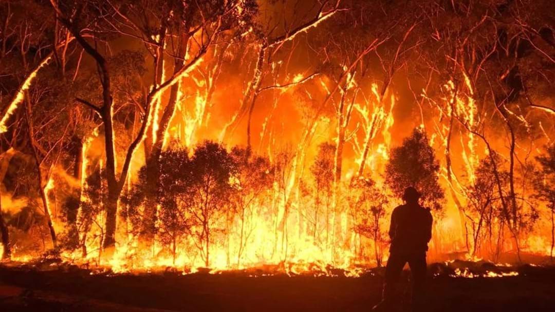 Article heading image for How The RFS Is Preparing For Bushfire Season