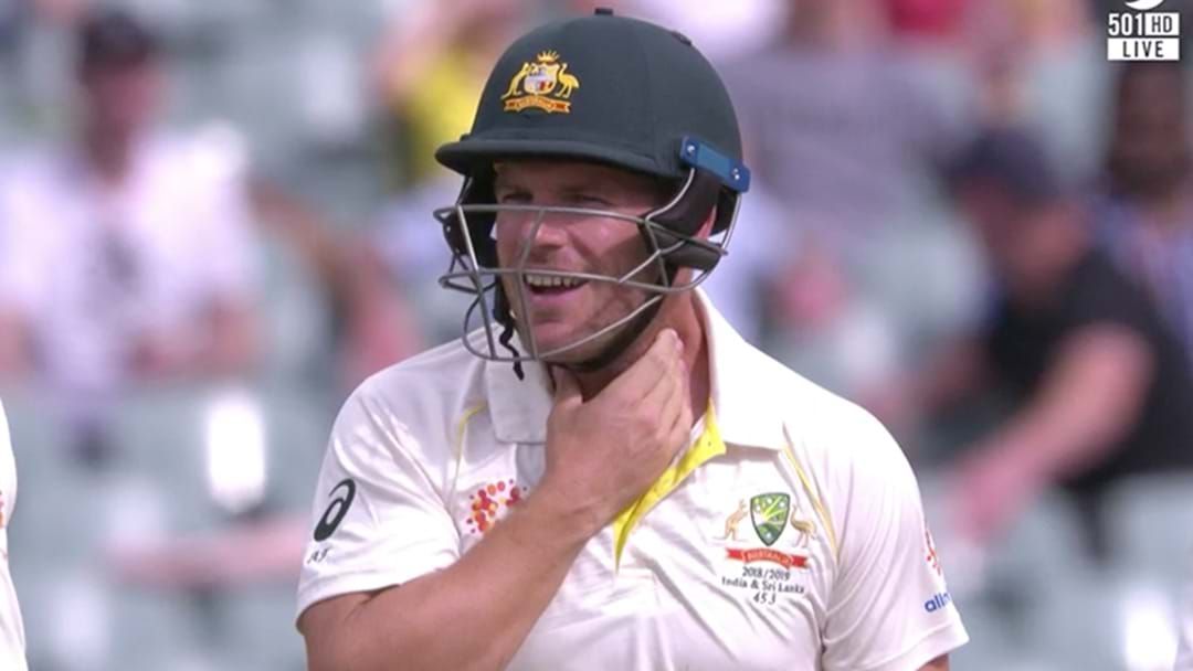 Article heading image for LISTEN | Tim Paine's Cheeky Gag For Aaron Finch After He Copped One In The Neck