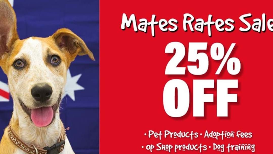 Article heading image for Looking For Your Forever Friend? Look No Further: Kingaroy RSPCA Mates Rates Sale