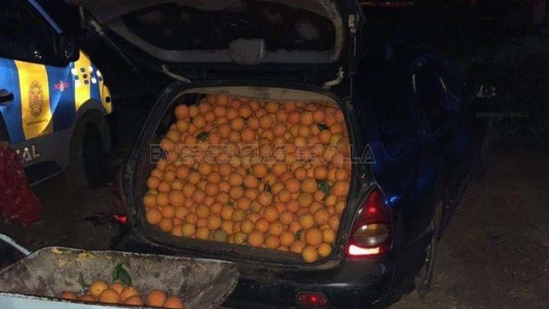 Article heading image for 5 People Arrested After Delicious Robbery Of 4000kgs Of Oranges
