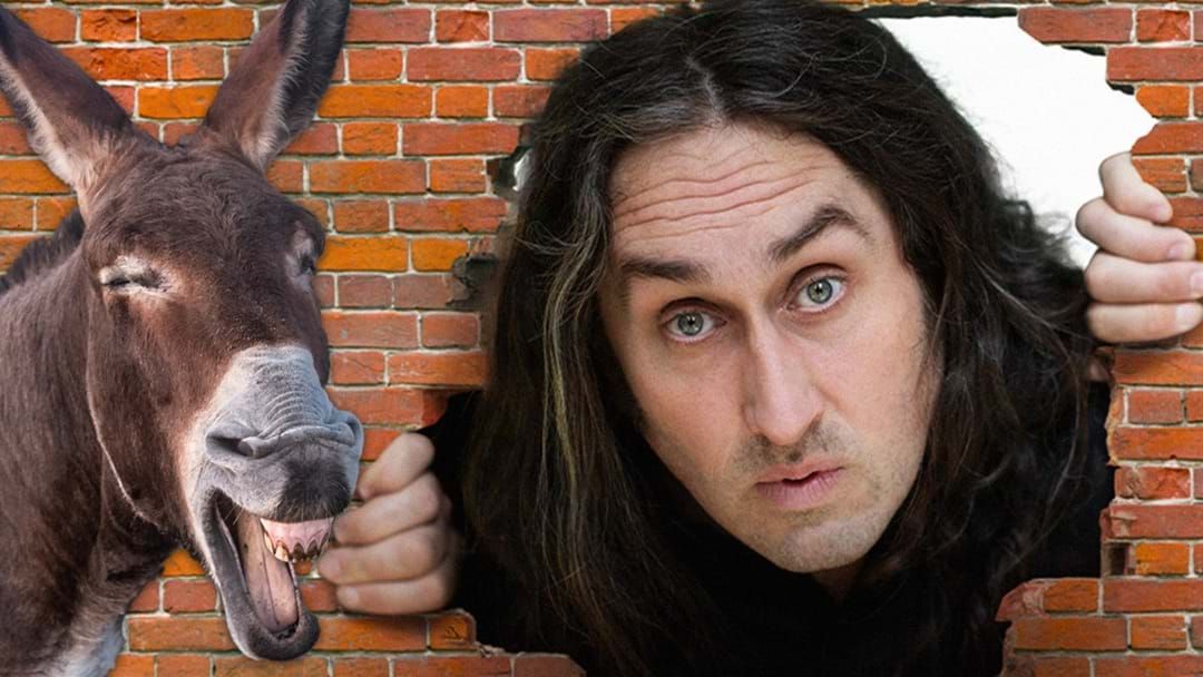 Article heading image for Comedian Ross Noble Talks Tour, Vampires, Big Hats And Small Donkeys 