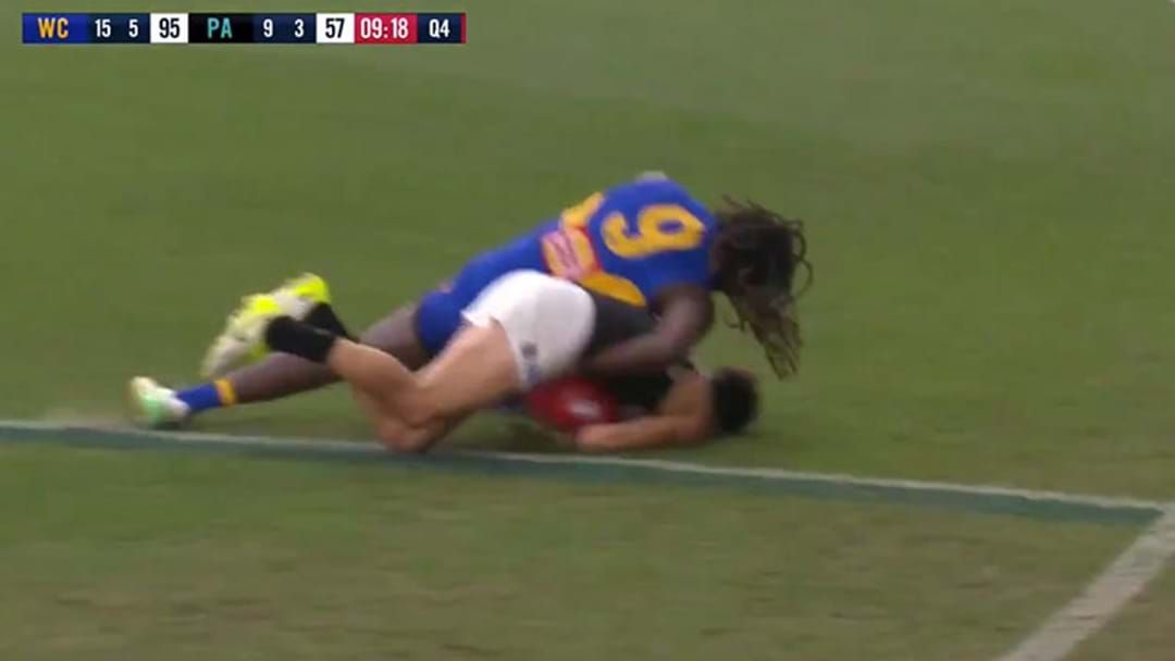 Article heading image for Nic Nat Banned, Jesse Hogan Cleared Of Staging