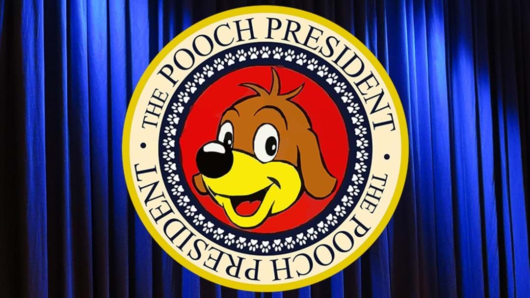 Article heading image for The Pooch President: The Story so far